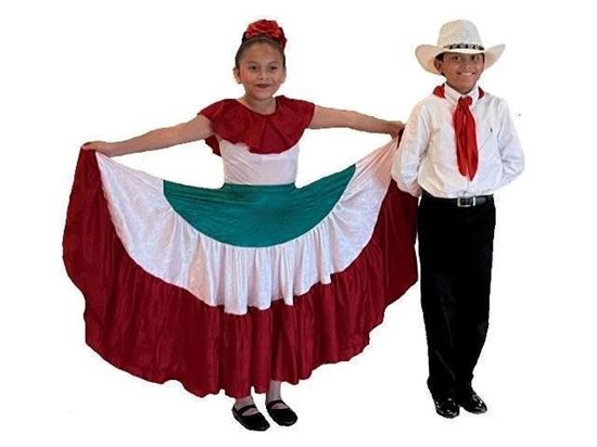5 Child Folklorico Moderno Private Dance Lessons in Houston